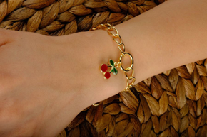 Εικόνα για την κατηγορία ΒΡΑΧΙΟΛΙΑ