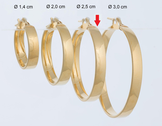 Εικόνα της ΕΠΙΧΡΥΣΑ ΣΚΟΥΛΑΡΙΚΙΑ ΑΣΗΜΙ 925 - ΚΡΙΚΟΙ ΠΛΑΚΕ